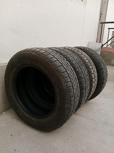Шиналар 195 / 65 / R 15, Жай, Колдонулган, Комплект, Жеңил унаалар, Орусия, TUNGA — 2