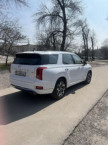 корейский опалобки: Hyundai Palisade: 2020 г., 2.2 л, Автомат, Дизель, Внедорожник — 5