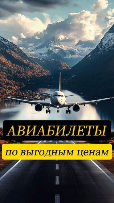 конные прогулки бишкек: ✈️ 4seasona.Avia здравствуйте 🌿 меня зовут гульнар акылбековна — 1