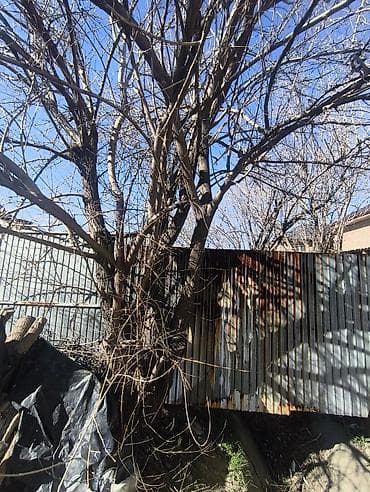 забирайте: Дрова — 2