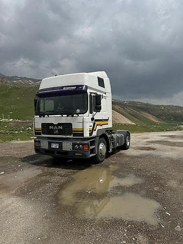 ауман тягач: Тягач, MAN, 2000 г. — 1