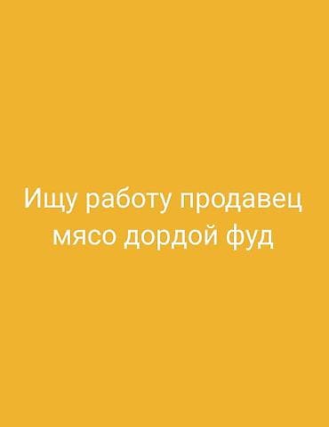 ошский рынок работа: Услуга: соискатель на должность продавца мяса (рынок/павильон «Дордой — 1