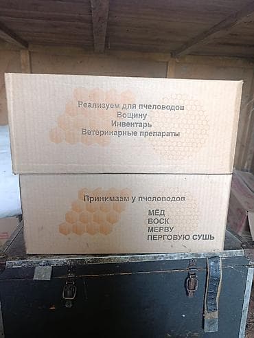 Азык-түлүктөр: Продам пчеловодную вощину цена в а пачку: 
3300 — 1