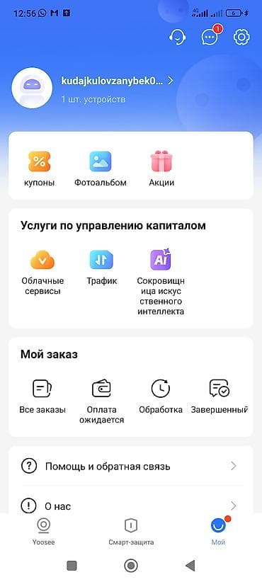 жаны уйлор: Сатам | Тооктор | Леггорн | Жумуртка туудуруу үчүн — 7