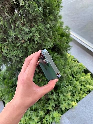 10 iphone: IPhone 13 Pro, Новый, 256 ГБ, Alpine Green, Коробка, В рассрочку, 72 % — 2