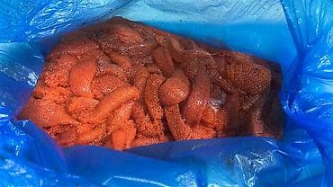 Декор и интерьер: Икра форели скупаю звоните по ватсап пишите — 2