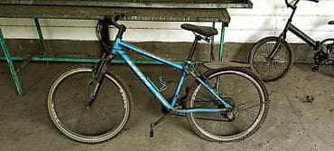 Велосипеддер: Тоо велосипеди, Lespo, Велосипед алкагы M (156 - 178 см), Алюминий, Колдонулган — 1