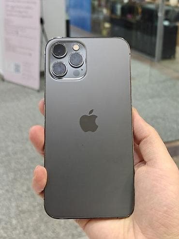 IPhone 12 Pro Max, Б/у, 256 ГБ, Графит, Защитное стекло, Чехол, Кабель, 76 % at lalafo.kg IPhone 12 Pro Max, Б/у, 256 ГБ, Графит, Защитное стекло, Чехол, Кабель, 76 %