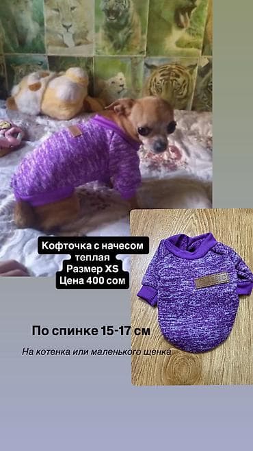 костюм животных: Одежда для кошек и собак. Все НОВОЕ РАЗМЕР И ЦЕНА УКАЗАНЫ НА ФОТО — 5