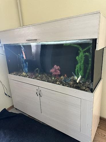 хостел ночь: 🏘️Комфортный хостел в районе Тунгуча (Рухий Mypac) Ищете доступное и — 7