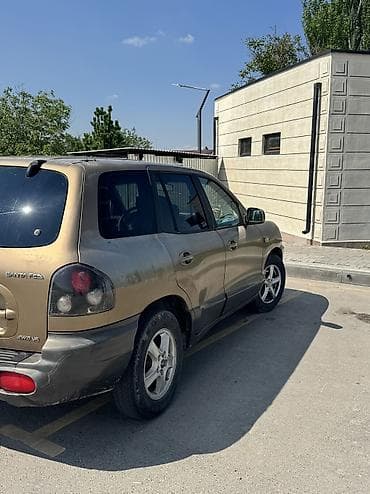 Продажа авто: Hyundai Santa Fe: 2003 г., 2.7 л, Автомат, Газ, Внедорожник — 10