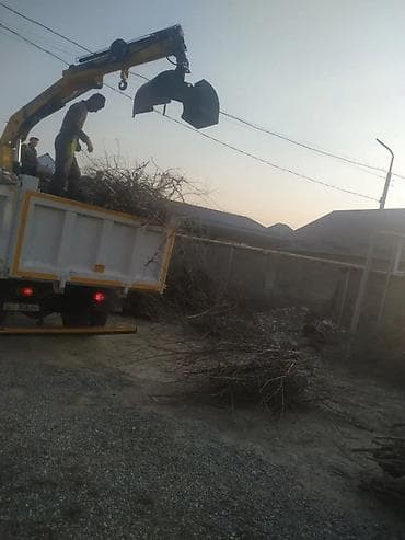 Уборка помещений: Уборка территории, Уборка двора и сада — 3