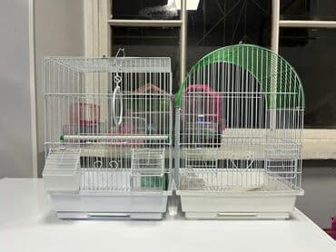 акустические системы vava колонка в виде собак: Корма, лотки, игрушки, клетки для кошек, собак, попугаев, хомячков и — 8