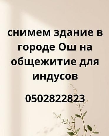 аренда помещений жалалабад: Ищем в аренду здание в городе Ош под общежитие. Требования к объекту — 2
