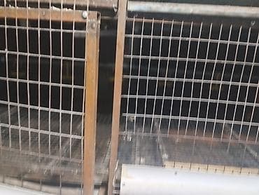 клетка для перепел: Трëхярусная клетка для содержания перепёлок/цыплят - Конструкция — 2