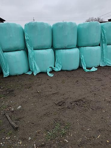 силос для коров: Силос 8 сом свыше 5 ТН 7 сом — 1