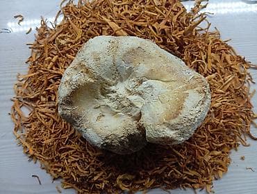 Козу карындар: Цена за 60 капсул. так же есть в наличии 🍄🍄🍄.Капсулы «Кордицепс + — 2