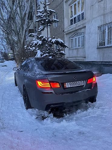 вентилятор bmw: BMW 5 series: 2010 г., Седан — 5