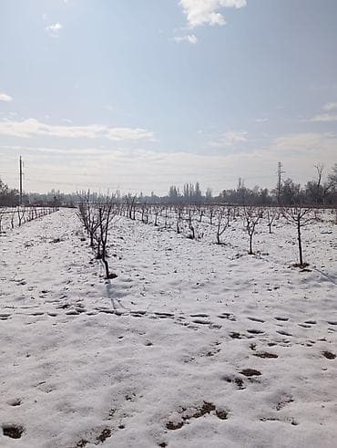 с комсомольское: 1500 соток, Для бизнеса, Красная книга, Договор купли-продажи — 3