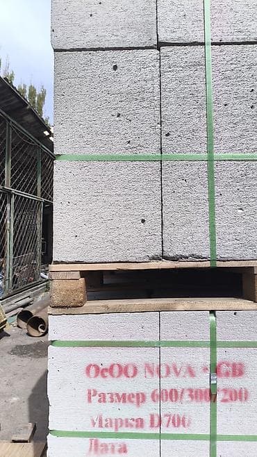 кастер: Газоблок, Неавтоклавный, 600x300x200, D700 — 3