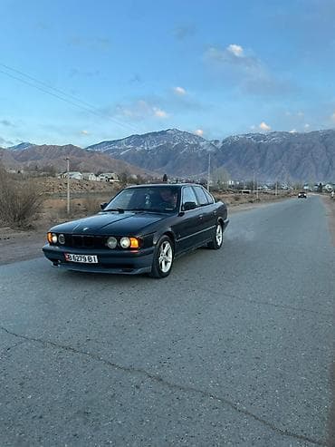 гофра е34: BMW 5 series: 1990 г., 2 л, Седан — 9
