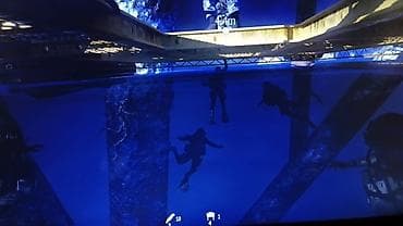 intel core i3 9100f: Продаю ноут Павельон г6 с сумкой проц а 10 видеокарта встройка радион — 4