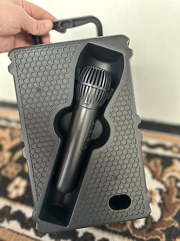 Аудиотехника: Портативная акустическая система Sing-e ZQS6168W (6.5") - Динамик — 3
