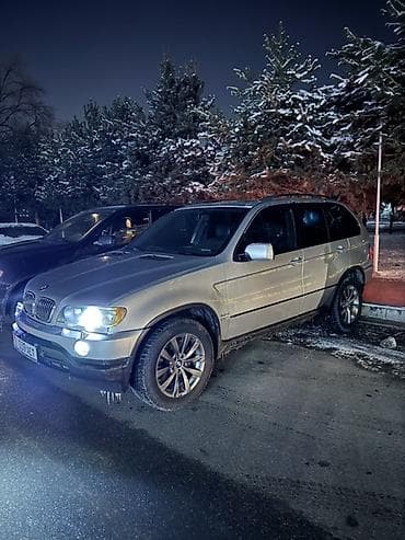 BMW: BMW X5: 2002 г., 3 л, Автомат, Дизель, Кроссовер — 1