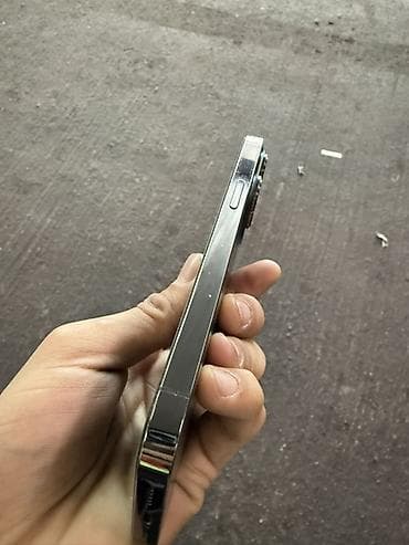 IPhone 13 Pro, Колдонулган, 256 ГБ, Графит, Коргоочу айнек, Каптама, 84 % — 6