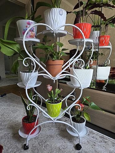 фито стена: Полка, этажерка для цветов, Новый, Железо, Самовывоз — 7