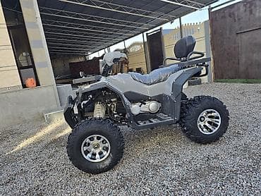 rx 6600: Квадроцикл Бензин, 250 куб. см, Взрослый — 3