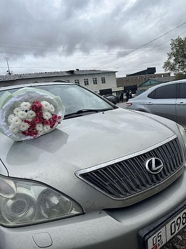 lexus 600: Lexus RX: 2005 г., Автомат, Газ, Внедорожник — 5
