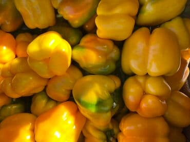 перец красный: Перец Сладкий — 1