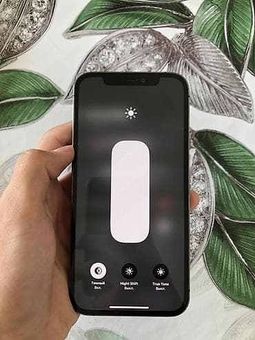 IPhone 12 Pro, 128 ГБ, Графит, 56 % — 1