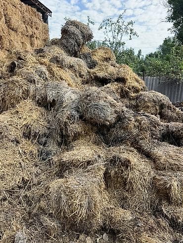 продам мясо: Самовывоз бесплатно Солома для хозяйственных нужд. Описание: - — 1