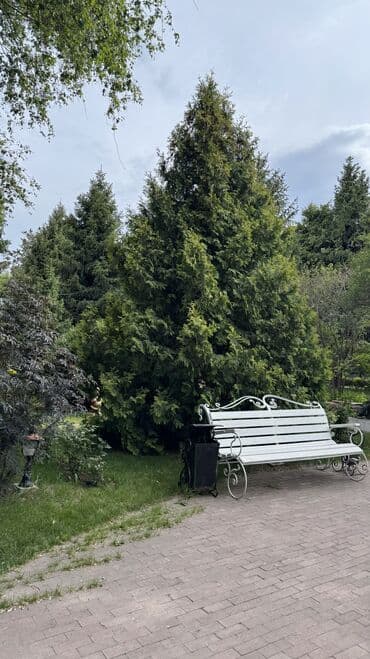 аренда комнаты ош: Коттедж, Коттедж ЦО Радуга West, Кош-Кол, Детская площадка, Парковка, стоянка, Охраняемая территория — 12