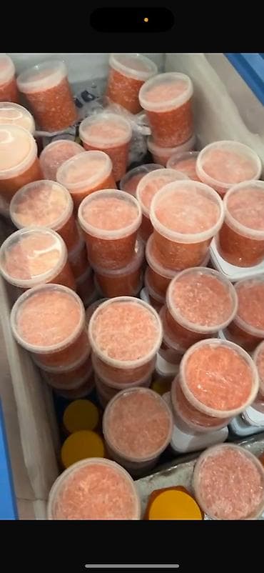 Крупы, мука, сахар: Икра красная зернистая в пластиковых ведёрках. Икра форели — 2