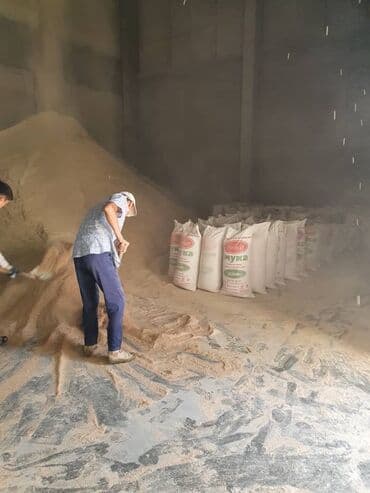 рэгдолл цена: Отруби отруби Отруб отруб Улпак улпак Улпаг улпак Кепек Кебек Кевек — 16