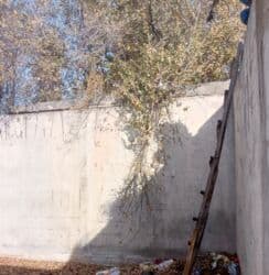 купить тачку садовую: Колдонулган, Өлчөмү: Башка x 6 x Башка, Кепилдиги — 4