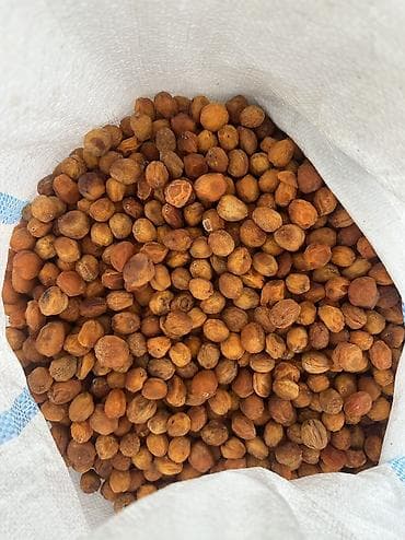 80 сом копмотко. Бакалашка 1кг 250 сом. Лейлек кандек оругу. Оптом и в