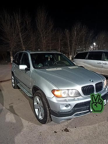 red cell: BMW X5: 2002 г., 4.4 л, Автомат, Бензин, Кроссовер — 1