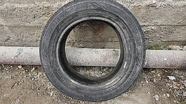 9 r20: Шины 185 / 65 / R 15, Лето, Запаска, Легковые, DUNLOP — 2