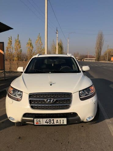 щелочные аккумуляторы: Hyundai Santa Fe: 2009 г., 2 л, Автомат, Дизель, Кроссовер — 2