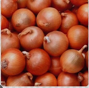 Фрукты: Лук Оптом, Самовывоз — 8