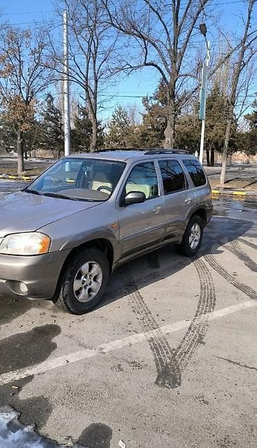 трибут: Mazda Tribute: 2001 г., 3 л, Автомат, Бензин, Кроссовер — 4