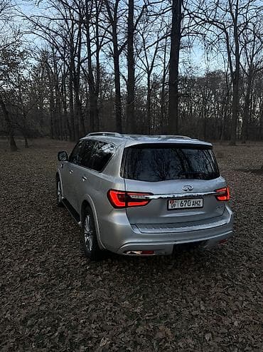 авто жаз: Infiniti QX80: 2019 г., 5.6 л, Автомат, Бензин, Жол тандабас — 4
