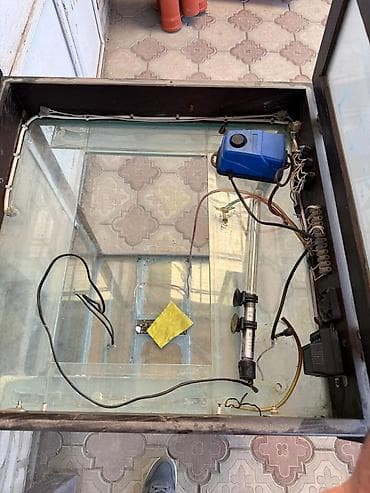 аквариум бу купить: Аквариумный комплект с крышкой и оборудованием - Прямоугольный — 2