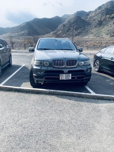 домкрат для авто: BMW X5: 2004 г., 4.4 л, Автомат, Газ, Внедорожник — 6