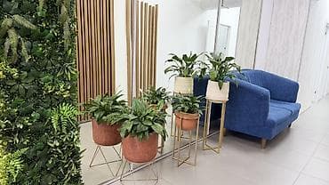 Кеңселерди ижаралоо, 50 м², Бизнес борборунда, 1-катар lalafo.kg да Кеңселерди ижаралоо, 50 м², Бизнес борборунда, 1-катар