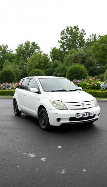 шины к5: Toyota ist: 2004 г., 1.3 л, Автомат, Бензин, Хэтчбэк — 1